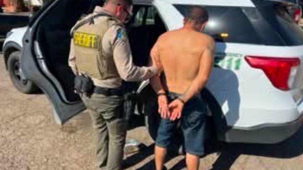 Tulare County detectives arrested a man accused of stealing five bins of Valencia oranges worth about $2,000 near Lindsay. (Tulare County SO)
