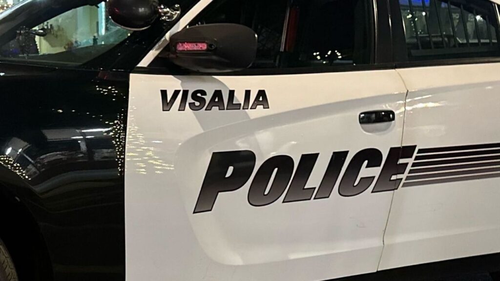 Visalia police are investigating after a man was stabbed during a fight on Main Street late Friday night. (Visalia PD)Visalia police are investigating after a man was stabbed during a fight on Main Street late Friday night. (Visalia PD)
