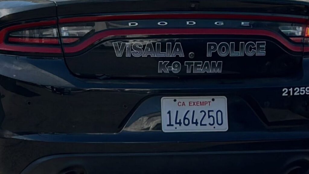 Visalia police arrested a 51-year-old man Sunday after officers said he vandalized a garage, resisted arrest and was found to have an outstanding felony warrant. (Visalia PD)