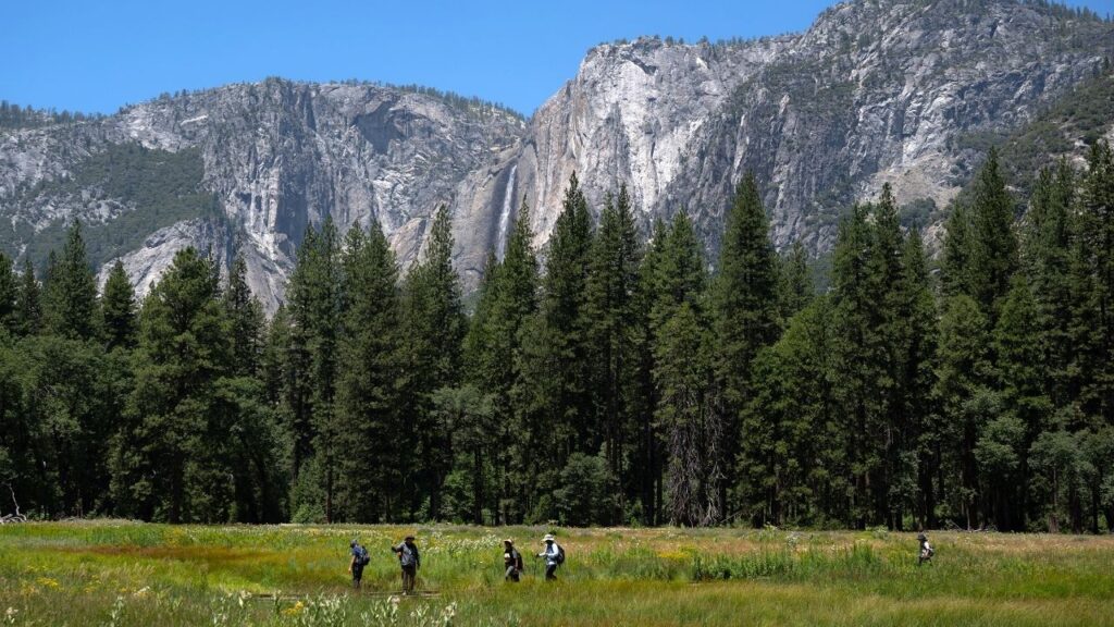 Visitors walk through Yosemite Valley in Yosemite National Park, Calif., July 3, 2026. The Trump administration has proposed giving a small parcel of land in Yosemite National Park in California to a private developer, according to federal officials and documents reviewed by The New York Times. (Mike Kai Chen/The New York Times)