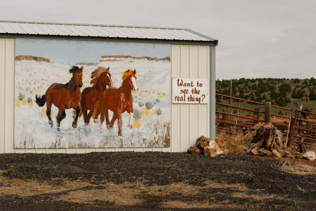 Image of a barn painting of wild horses galloping through snow