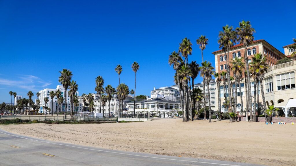Image of palm trees and hotels along the California coast in Santa Monica.