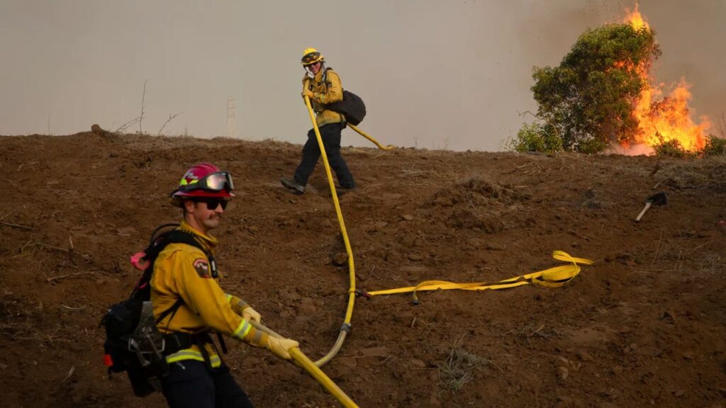 Image of firefighters in yellow protective gear carrying a firehose up a hillside with flames visible above them