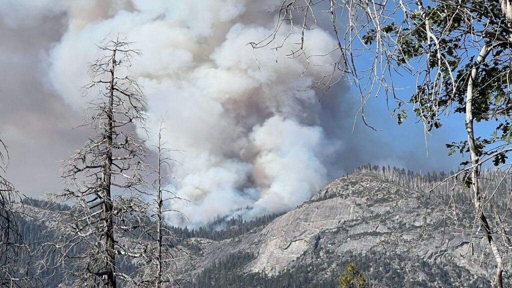 A 100-acre wildfire near Chilnualna Falls in Yosemite National Park prompted several trail closures Tuesday as crews attacked the fire from the ground and air. (Yosemite National Forest)