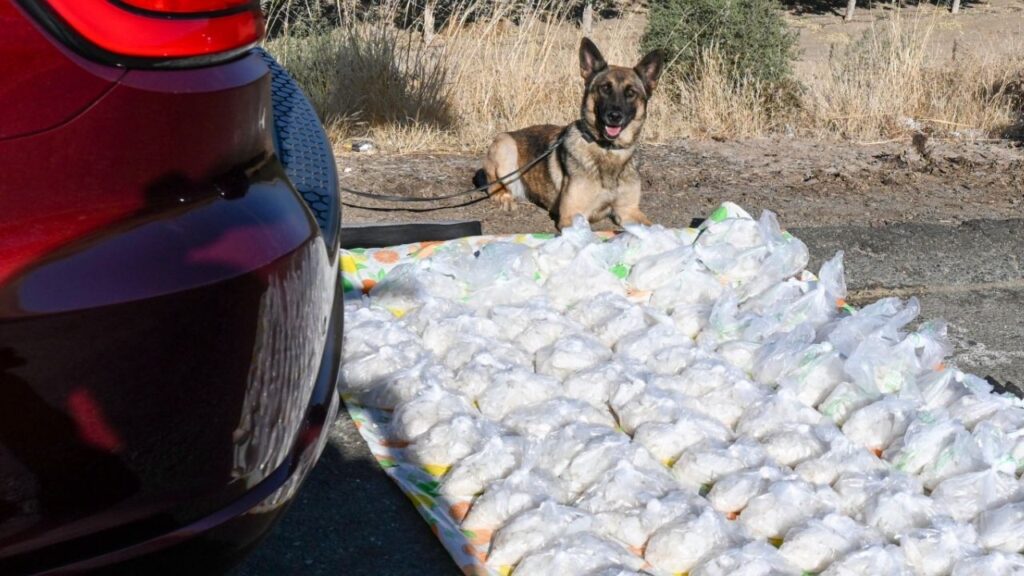 A CHP traffic stop in Merced County led to the seizure of about 100 pounds of methamphetamine valued at more than $1.3 million, authorities said. (CHP)