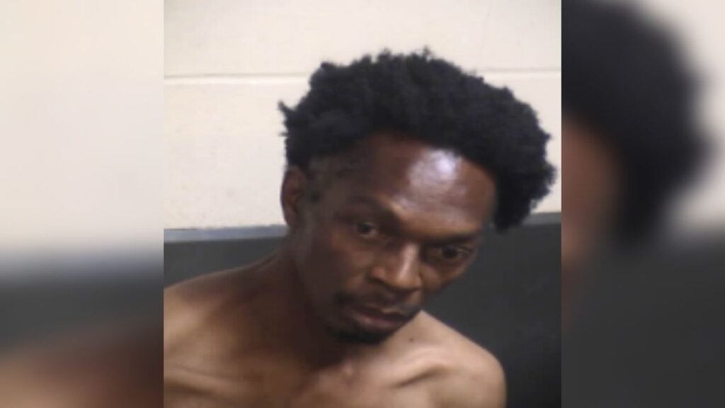 Fresno police arrested 54-year-old Wayne Metley after witnesses reported seeing him slam a pregnant woman into a sidewalk and strangle her. (Fresno PD)