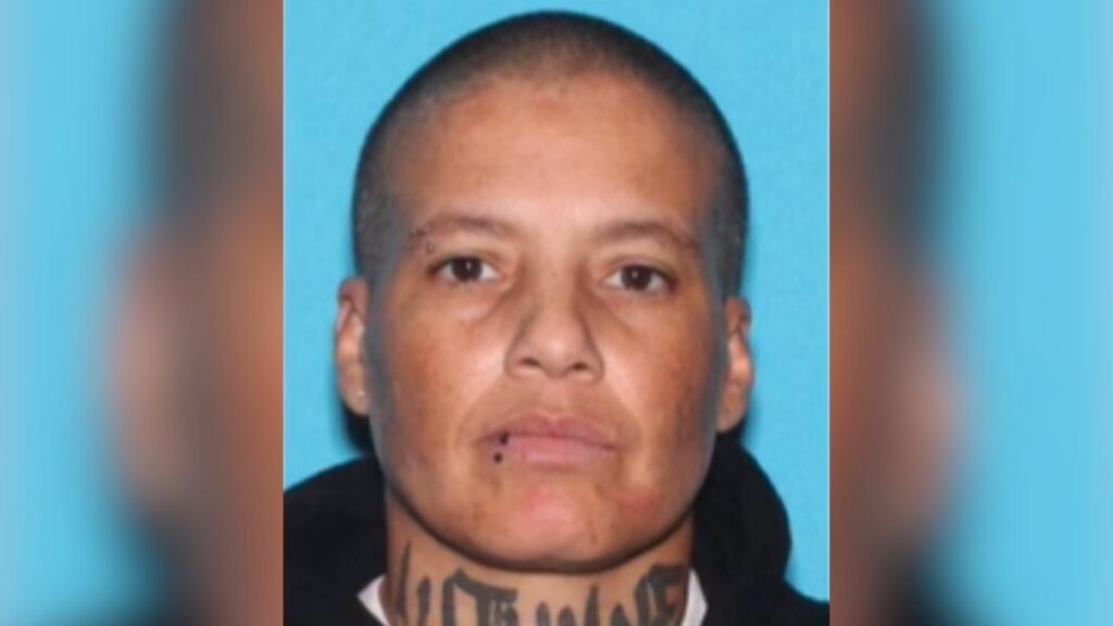 Kelly McKinney, 41, was arrested after Fresno police said an automated license plate reader detected a stolen vehicle from the Los Angeles area. (Fresno PD)