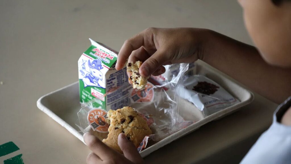 Image of a student's hand grabbing a chunk of muffin from a food tray