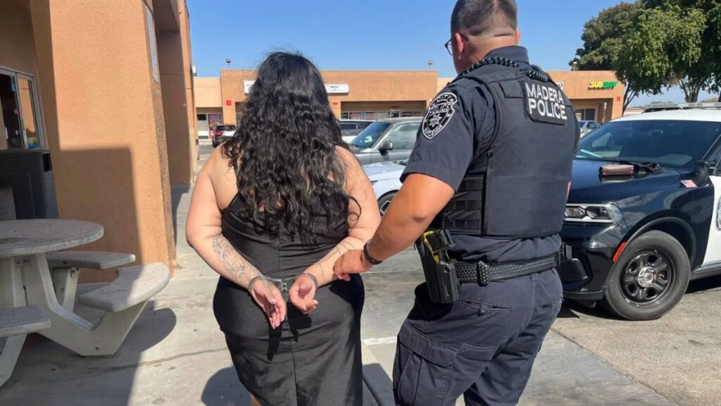 A Madera woman in her 20s was arrested Saturday on suspicion of DUI after police determined her blood alcohol content was more than twice the legal limit. (Madera PD)