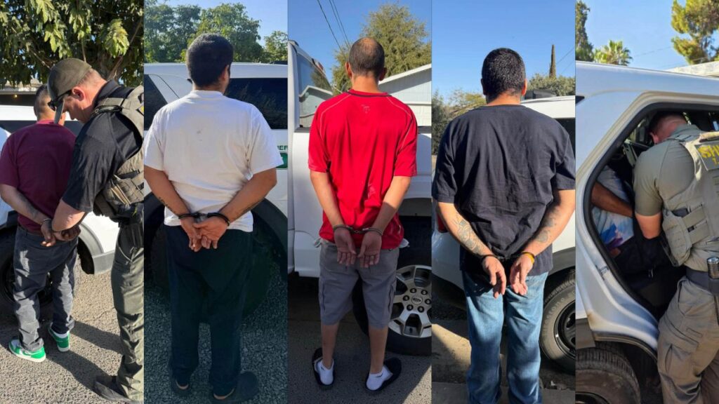 A multi-agency domestic violence warrant sweep across Tulare County resulted in 12 arrests Wednesday, according to the Tulare County Sheriff's Office. (Tulare County SO)