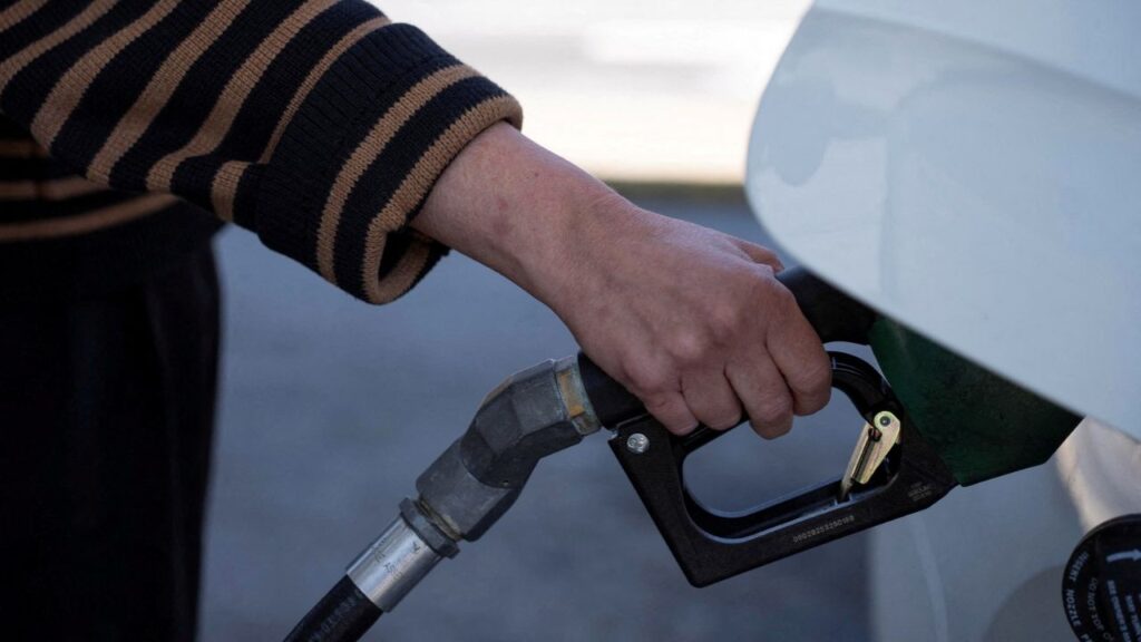 A person pumps their gasoline at a gas station in Atlanta, Georgia, U.S., March 20, 2026. (Reuters File)