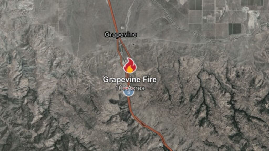 A wildfire burning near Interstate 5 in Kern County reached 100 acres and remained 0% contained Thursday morning, according to Cal Fire. (Cal Fire)
