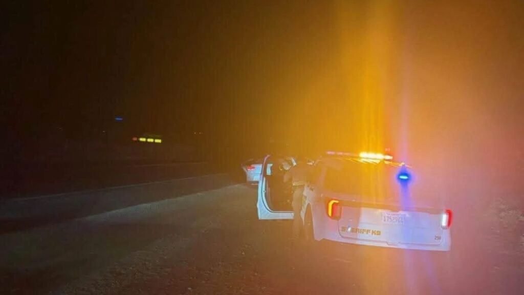 A woman was shot in the leg early Saturday after someone in a dark-colored vehicle opened fire while she was driving near Orosi, authorities said. (Tulare County SO)