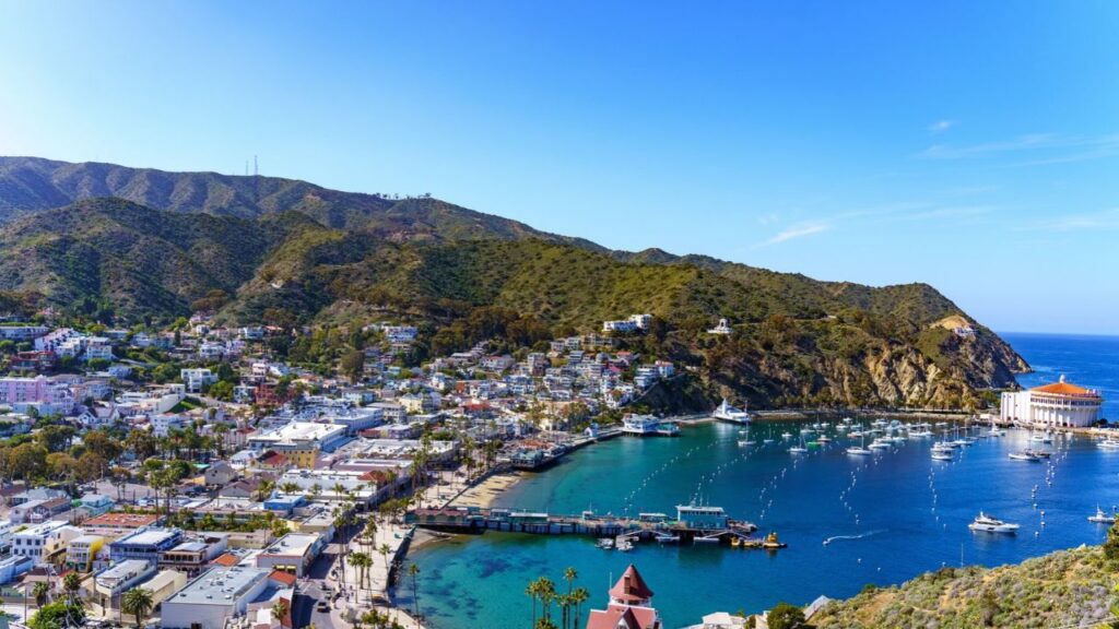 Crews searched Thursday for a missing person after a medical helicopter crashed off Catalina Island, killing two people and injuring two others. (Shutterstock)