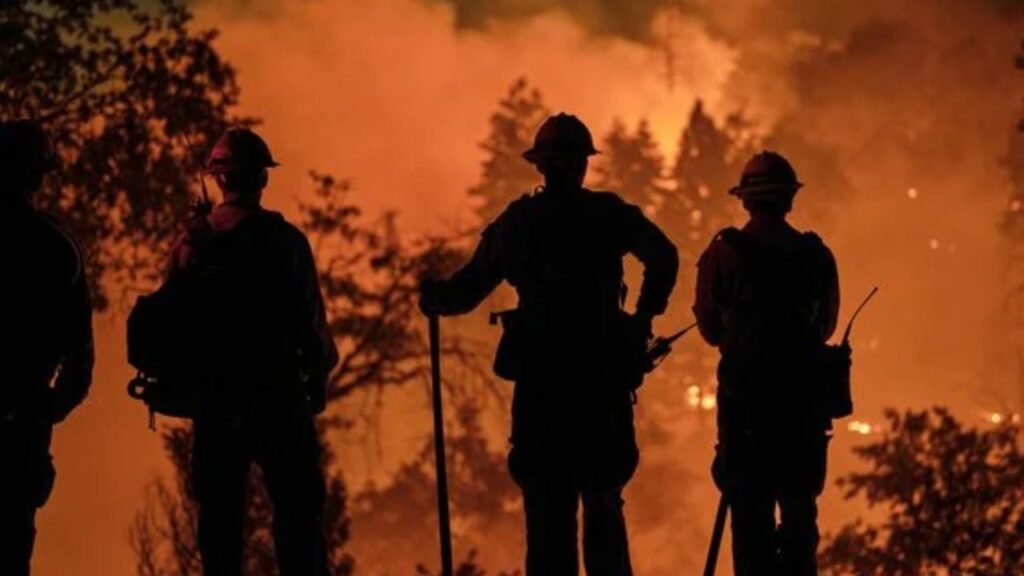Firefighters conduct a back burn in San Bernardino National Forest during the Line fire in Running Springs Calif., Sept. 10, 2024. Loggers are finding it impossible to profitably harvest some federal forests. That leaves more fuel for fires to accumulate. (Philip Cheung/The New York Times)