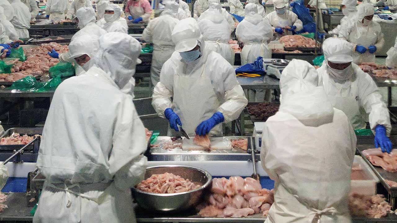 Employees trim and process chicken breast meat at Wintop Food Group's frozen chicken-processing factory in Tengzhou, Shandong province, China August 24, 2026. (Reuters/Ella Cao)